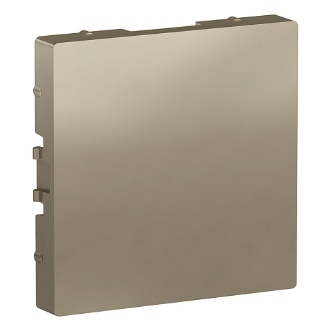 Systeme Electric AtlasDesign Шампань Заглушка