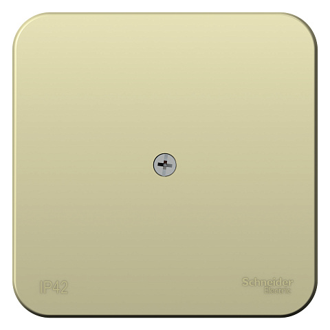 Systeme Electric Blanca наруж Беж Коробка распределительная IP42