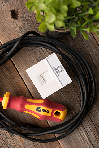 EKF PROxima Розетка RJ-45, категории 5e (ширина 2 модуля)