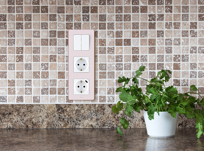 Legrand INSPIRIA Белый Розетка 2К+З немецкий стандарт 16А 250В со встроенным зарядным устройством USB C 1.5А 5В