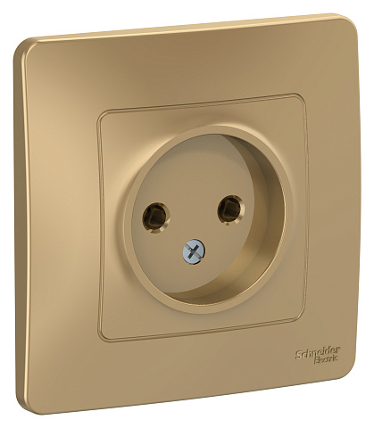 Systeme Electric Blanca внутр Титан Розетка б/з без шторок 16А, 250В